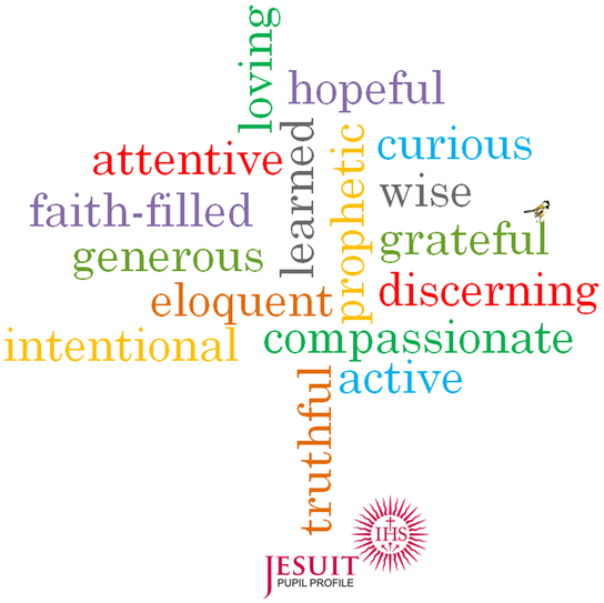 Pupil Profile - The Jesuit Institute 1